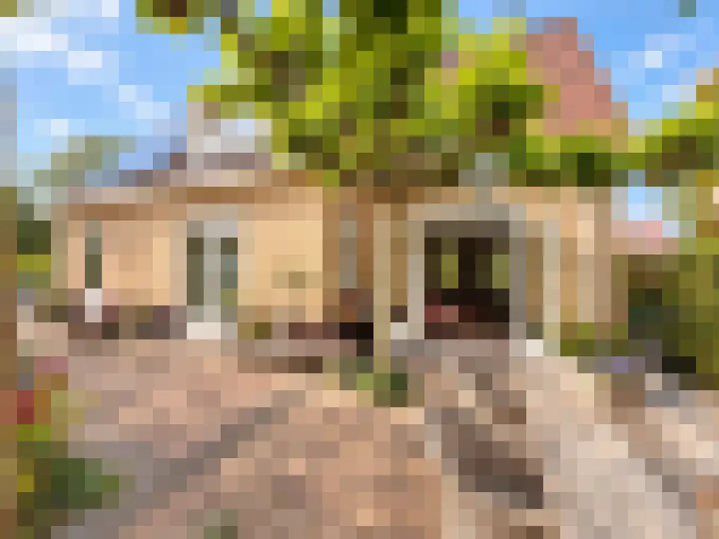 Westeinde 20 Leimuiden thumbnail 12