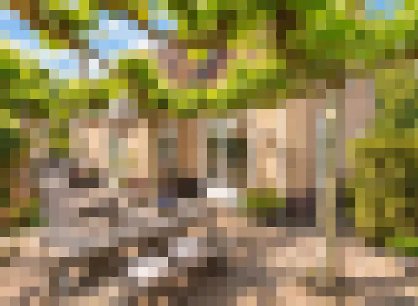 Westeinde 20 Leimuiden thumbnail 13