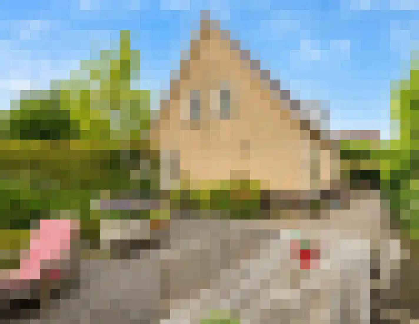 Westeinde 20 Leimuiden thumbnail 14