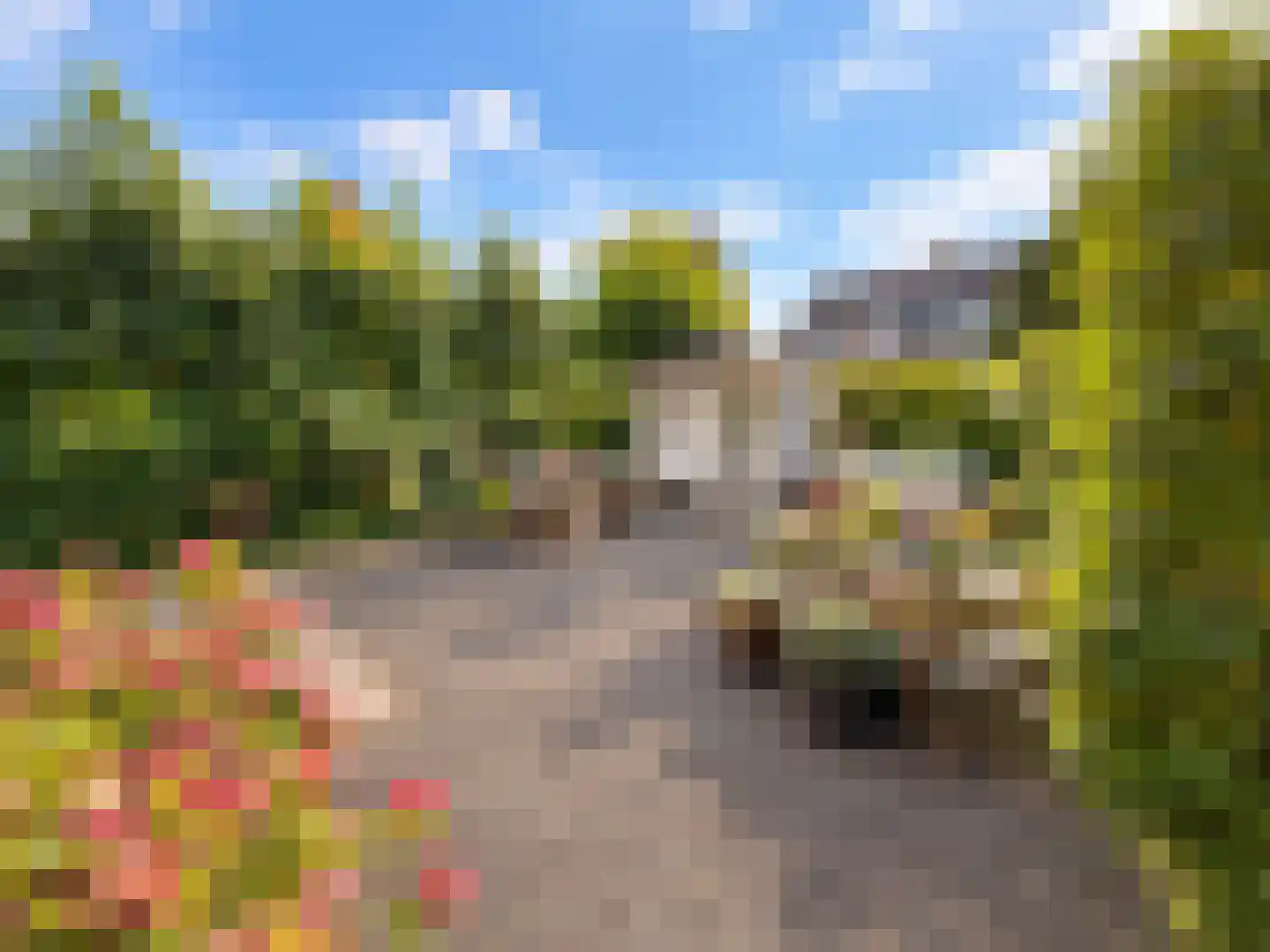 Westeinde 20 Leimuiden thumbnail 15