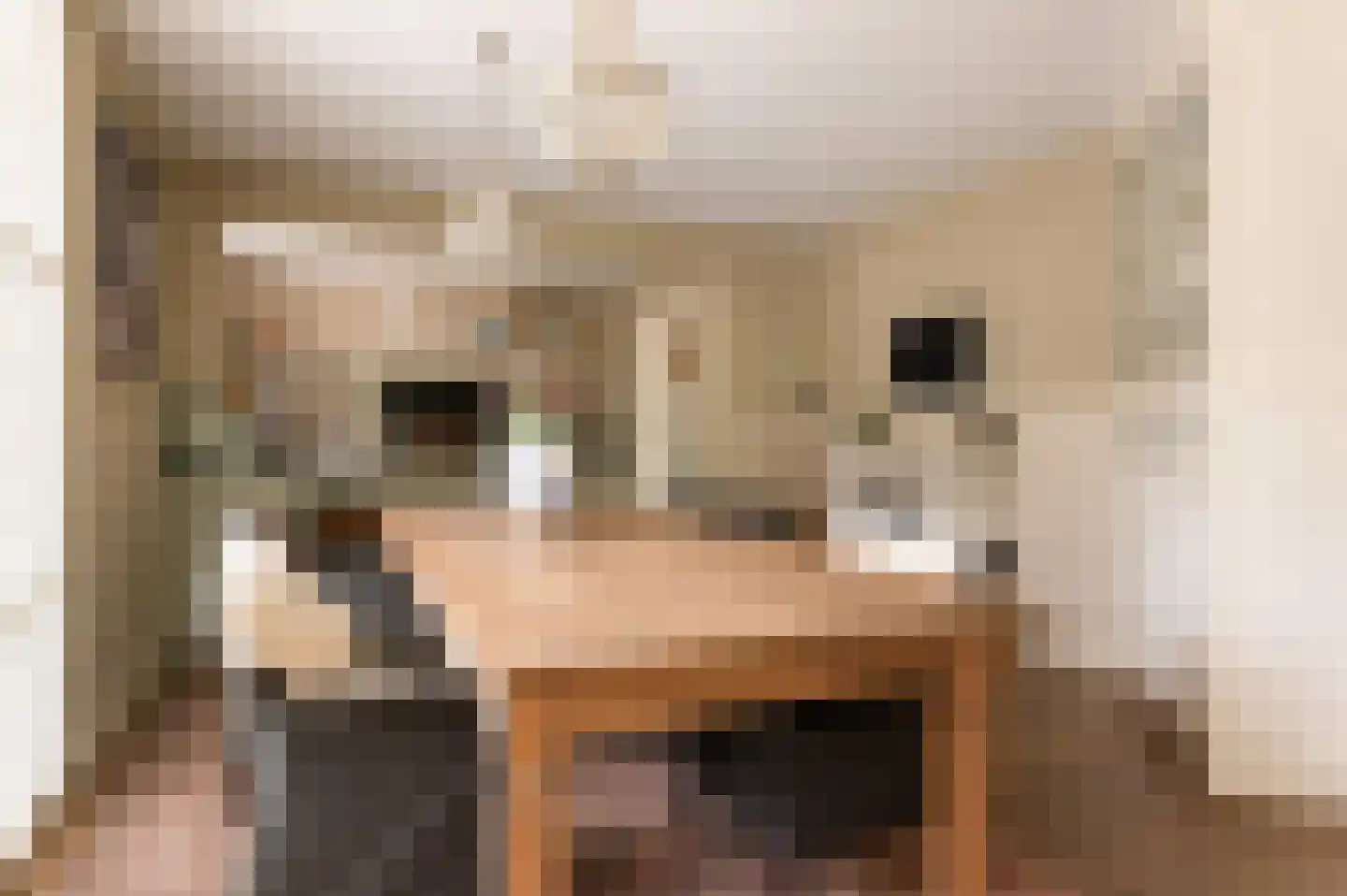 Westeinde 20 Leimuiden thumbnail 21