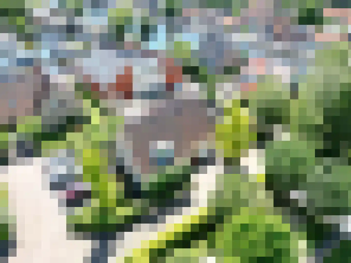 Westeinde 20 Leimuiden thumbnail 36