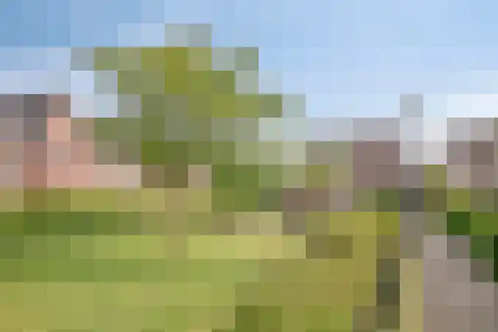 Westeinde 20 Scherpenzeel thumbnail 29