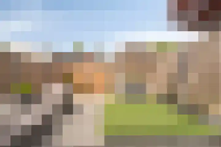 Westeinde 20 Scherpenzeel thumbnail 4
