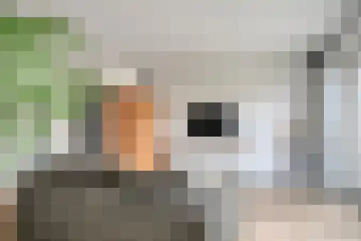 Westeinde 20 Scherpenzeel thumbnail 8