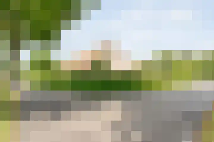 Westeinde 206 a Wapserveen thumbnail 8
