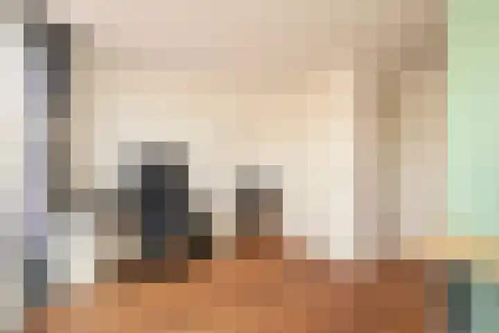 Westeinde 211 Den Haag thumbnail 30