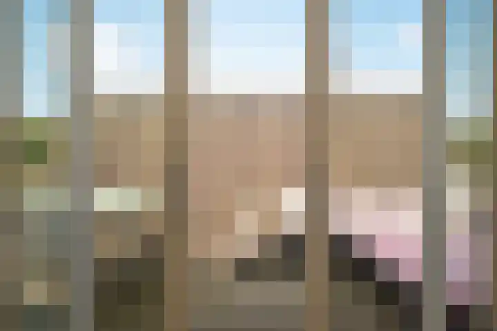 Westeinde 211 Den Haag thumbnail 31