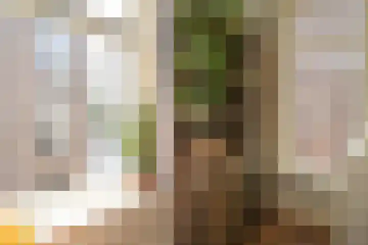 Westeinde 211 Den Haag thumbnail 6