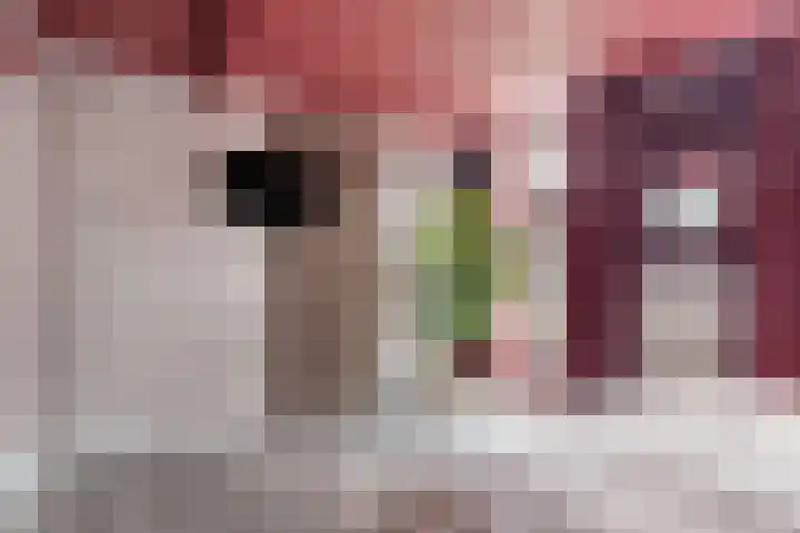 Westeinde 221 Vriezenveen thumbnail 20
