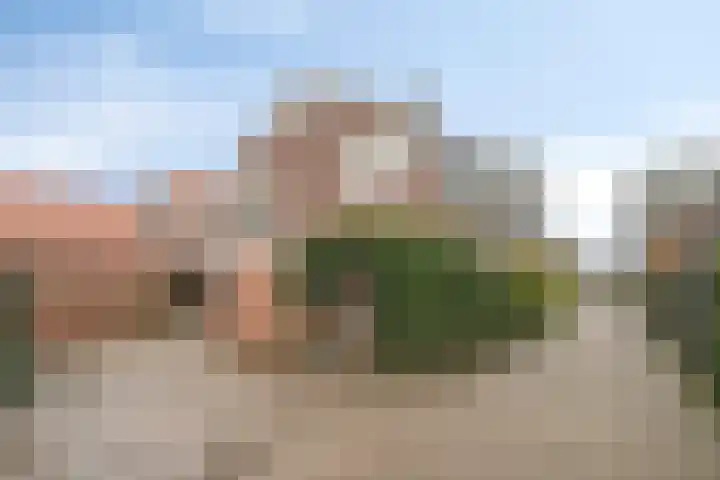 Westeinde 221 Vriezenveen thumbnail 28