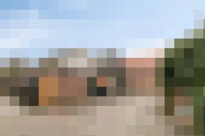 Westeinde 221 Vriezenveen thumbnail 29