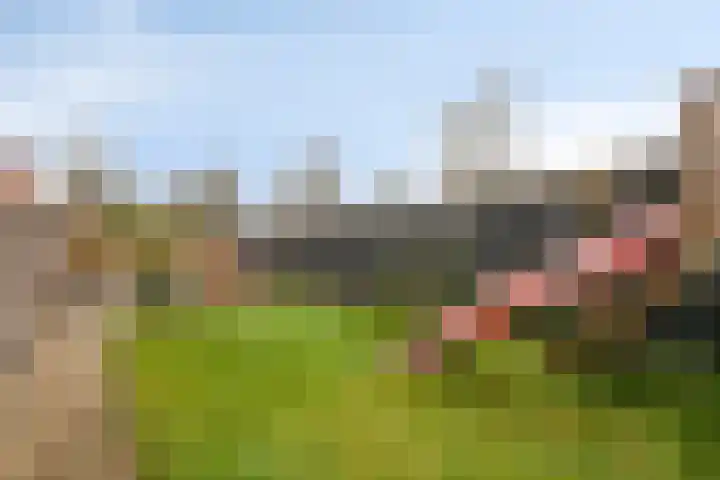 Westeinde 221 Vriezenveen thumbnail 30
