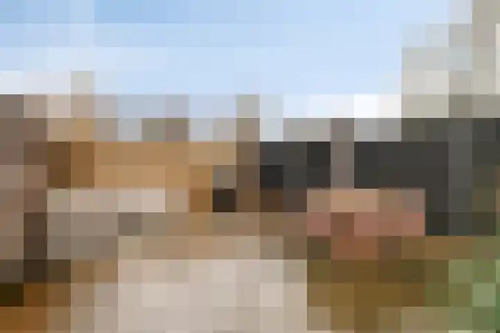 Westeinde 221 Vriezenveen thumbnail 32