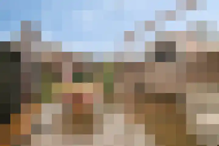 Westeinde 221 Vriezenveen thumbnail 33