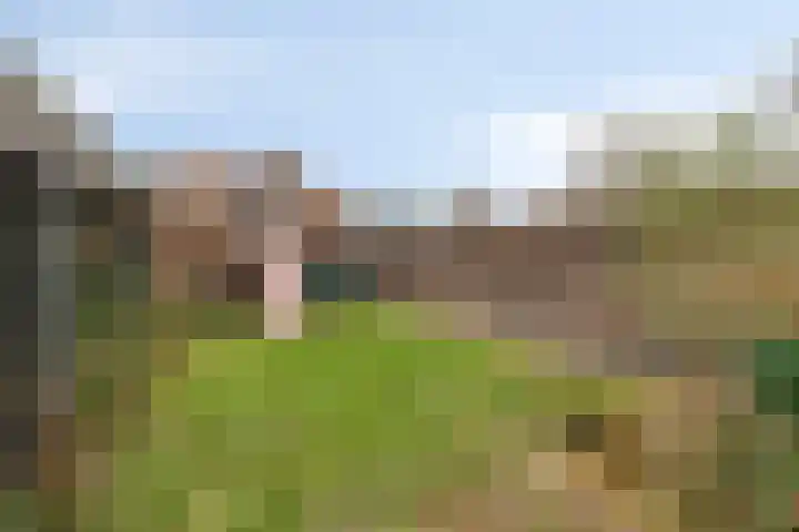 Westeinde 221 Vriezenveen thumbnail 34