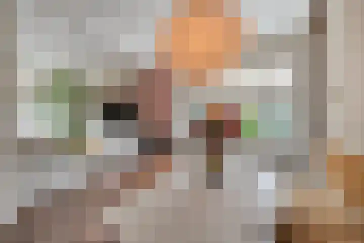 Westeinde 221 Vriezenveen thumbnail 6