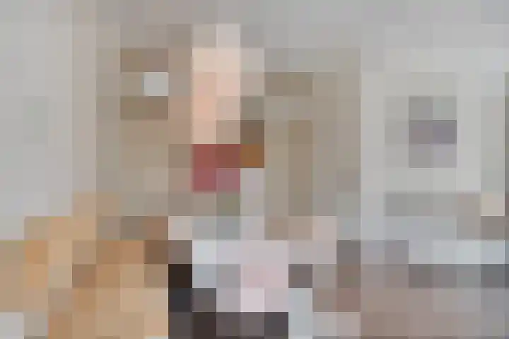 Westeinde 221 Vriezenveen thumbnail 8