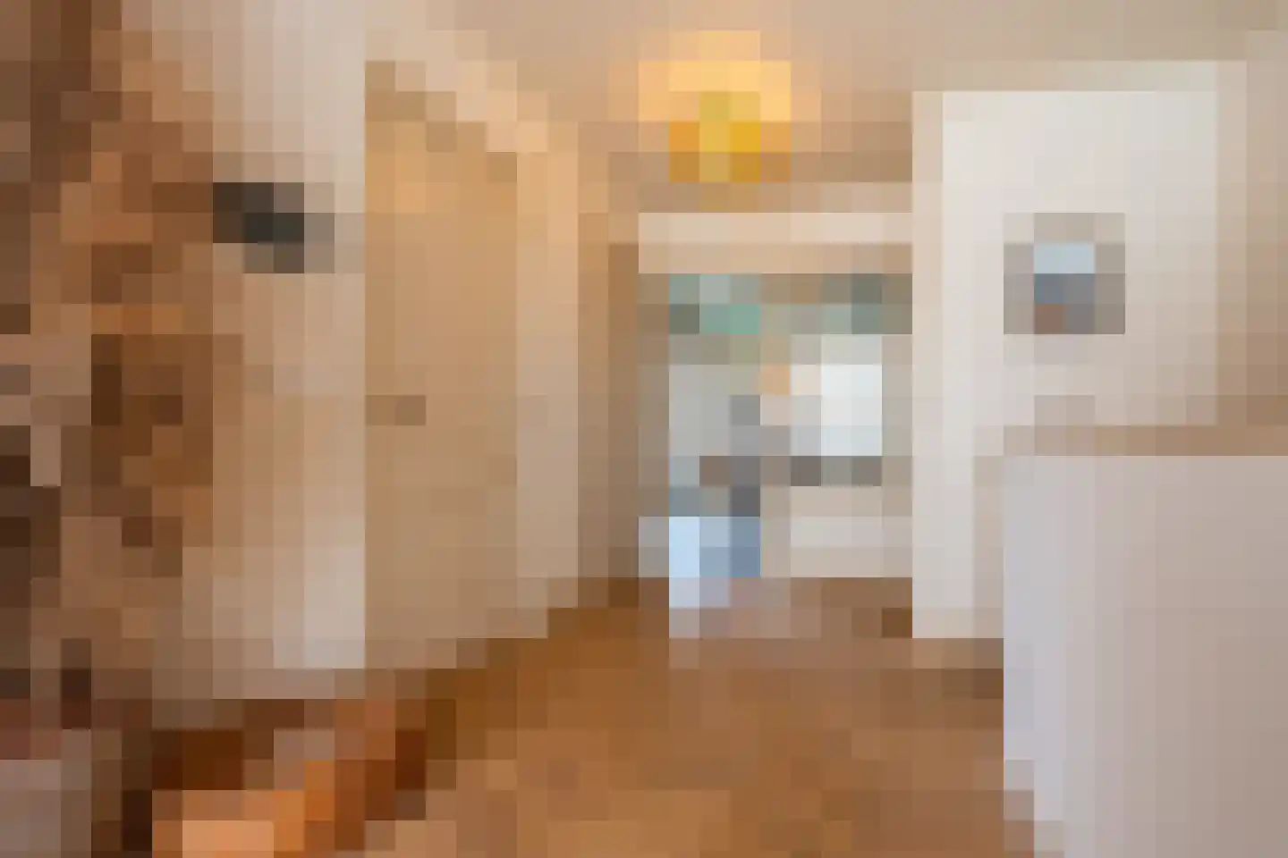 Westeinde 23 Den Haag thumbnail 10