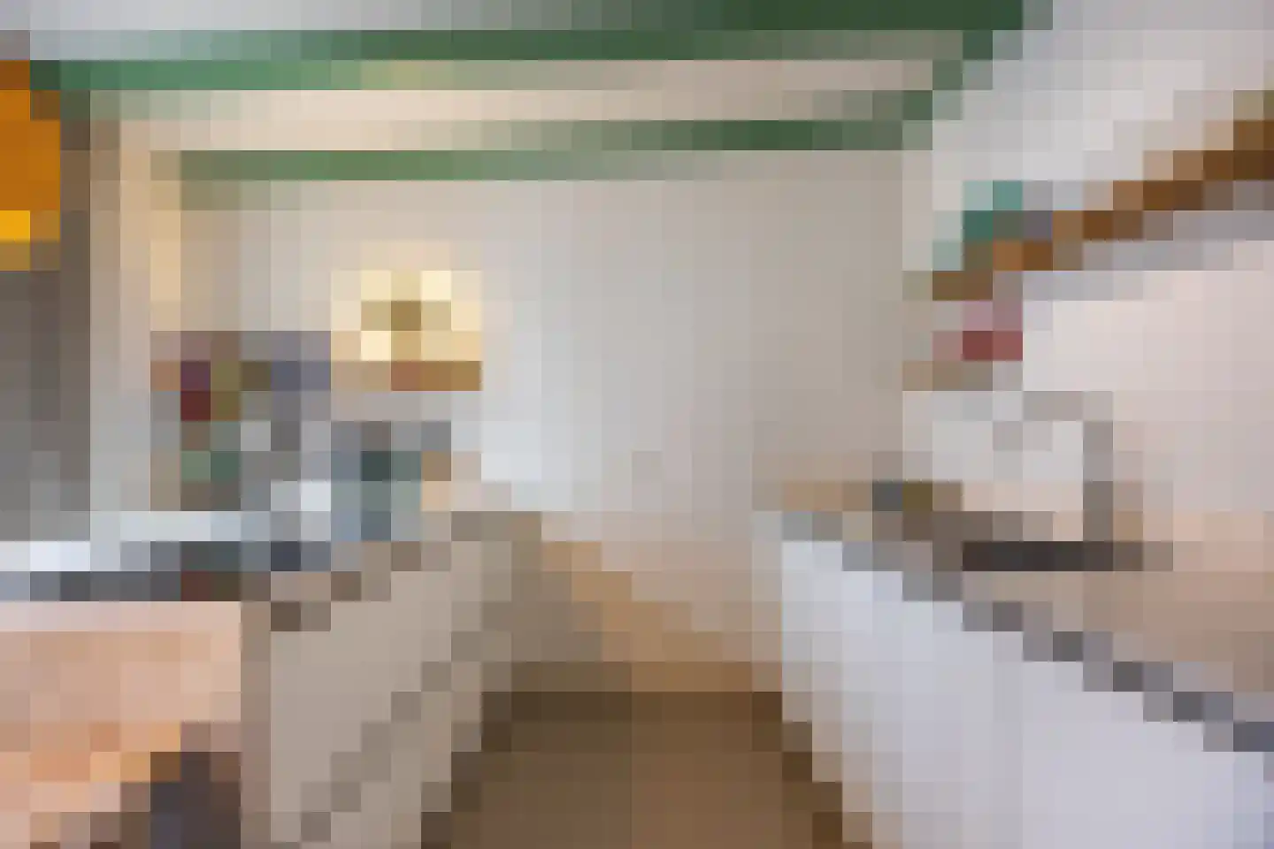 Westeinde 23 Den Haag thumbnail 14
