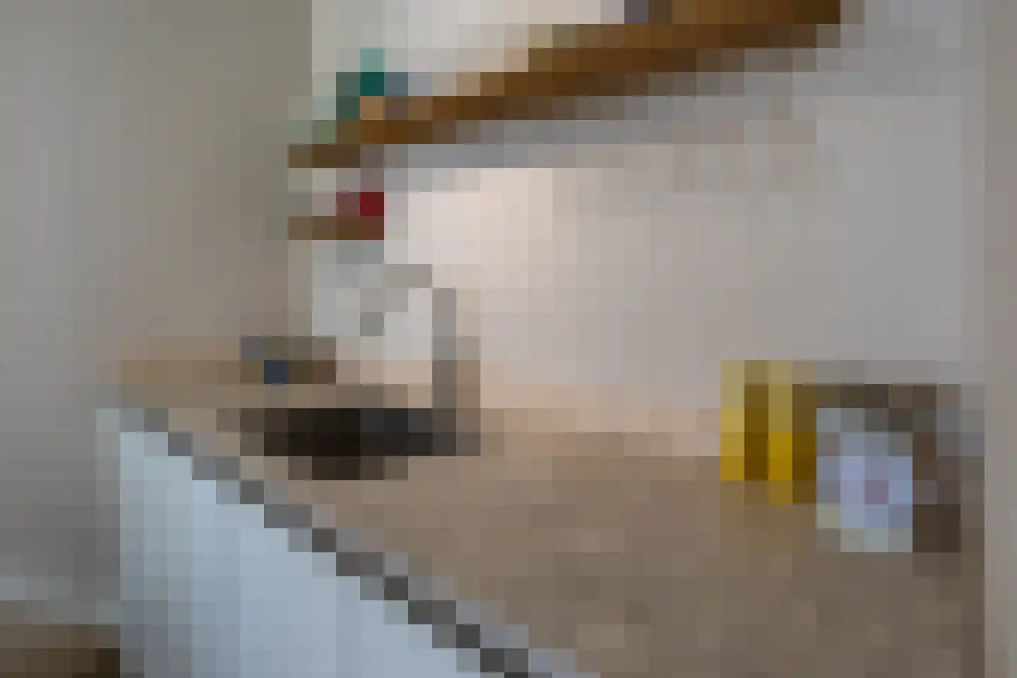 Westeinde 23 Den Haag thumbnail 15