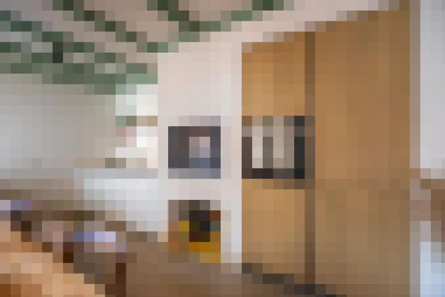 Westeinde 23 Den Haag thumbnail 18