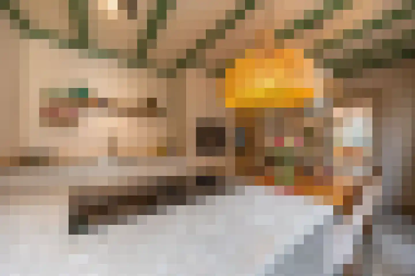 Westeinde 23 Den Haag thumbnail 22