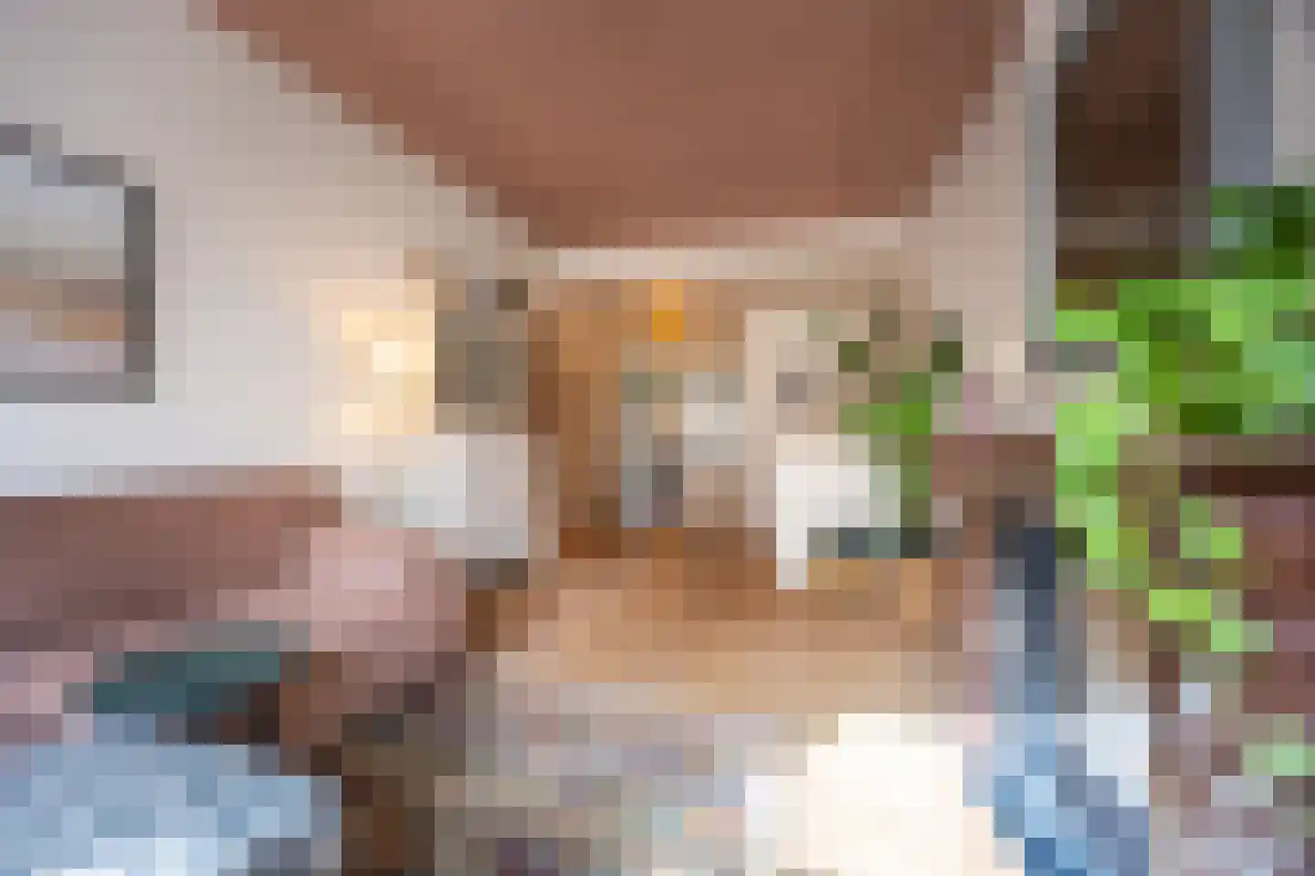 Westeinde 23 Den Haag thumbnail 7