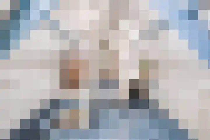Westeinde 24 Berkenwoude thumbnail 24