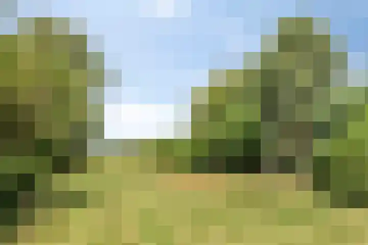 Westeinde 24 Berkenwoude thumbnail 34