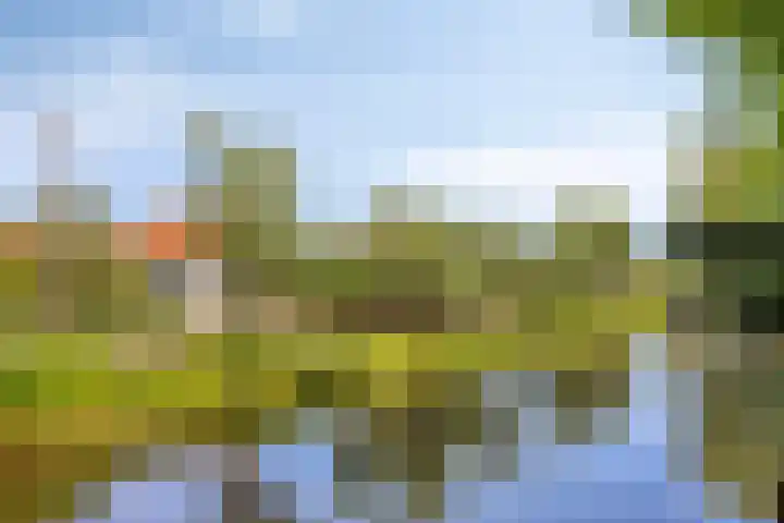 Westeinde 24 Berkenwoude thumbnail 43