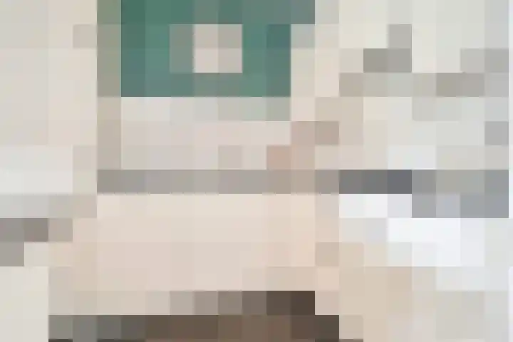 Westeinde 24 Nunspeet thumbnail 17