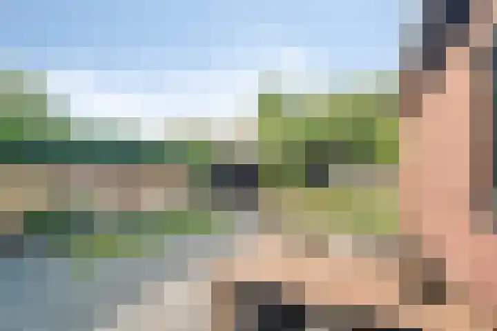 Westeinde 24 Nunspeet thumbnail 34