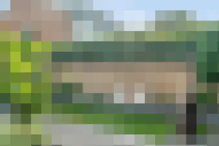 Westeinde 24 Nunspeet thumbnail 37