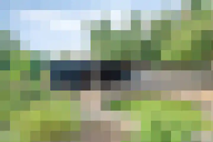 Westeinde 24 Nunspeet thumbnail 39