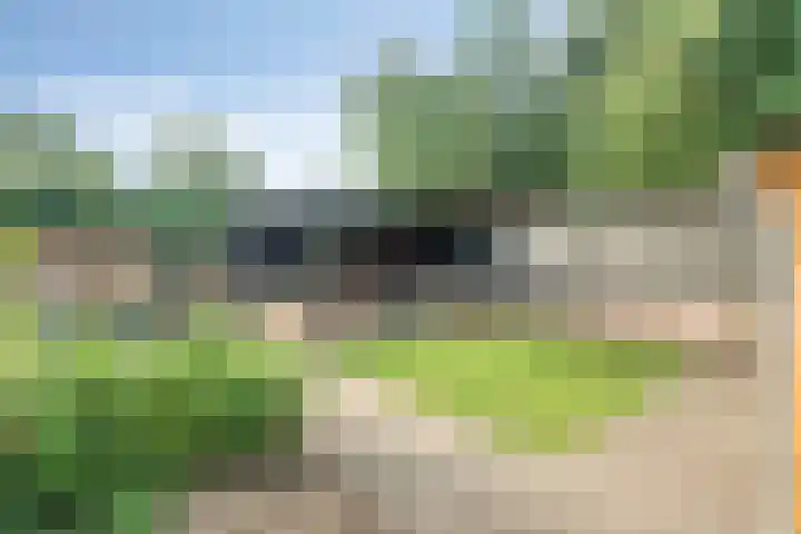 Westeinde 24 Nunspeet thumbnail 40