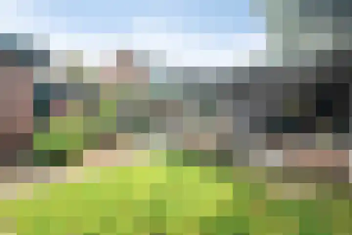 Westeinde 24 Nunspeet thumbnail 41
