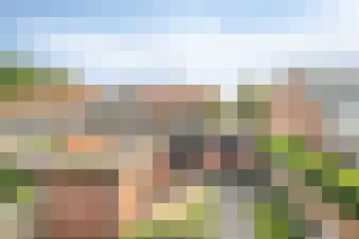 Westeinde 24 Nunspeet thumbnail 45