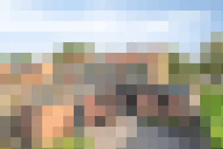 Westeinde 24 Nunspeet thumbnail 46