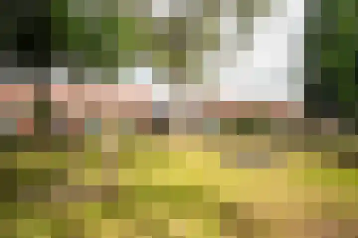 Westeinde 24 Nunspeet thumbnail 47