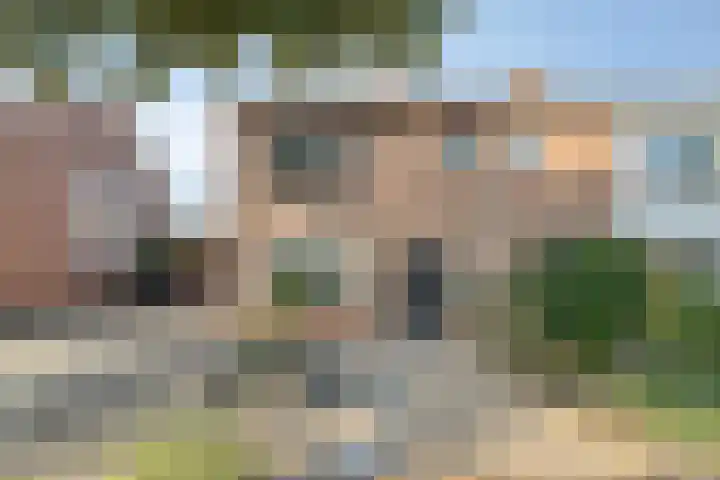Westeinde 24 Nunspeet thumbnail 5