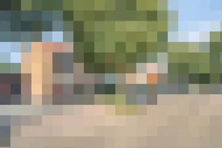 Westeinde 24 Nunspeet thumbnail 6