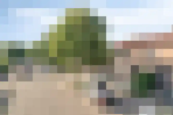 Westeinde 24 Nunspeet thumbnail 8