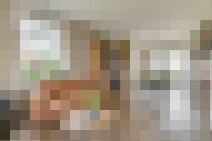 Westeinde 245 Berkhout thumbnail 10