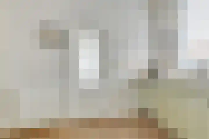 Westeinde 245 Berkhout thumbnail 17