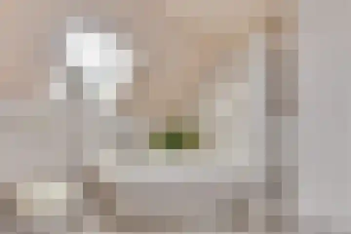 Westeinde 245 Berkhout thumbnail 28