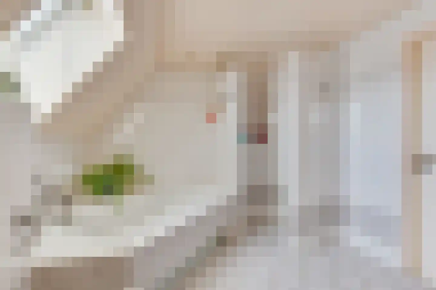 Westeinde 245 Berkhout thumbnail 29