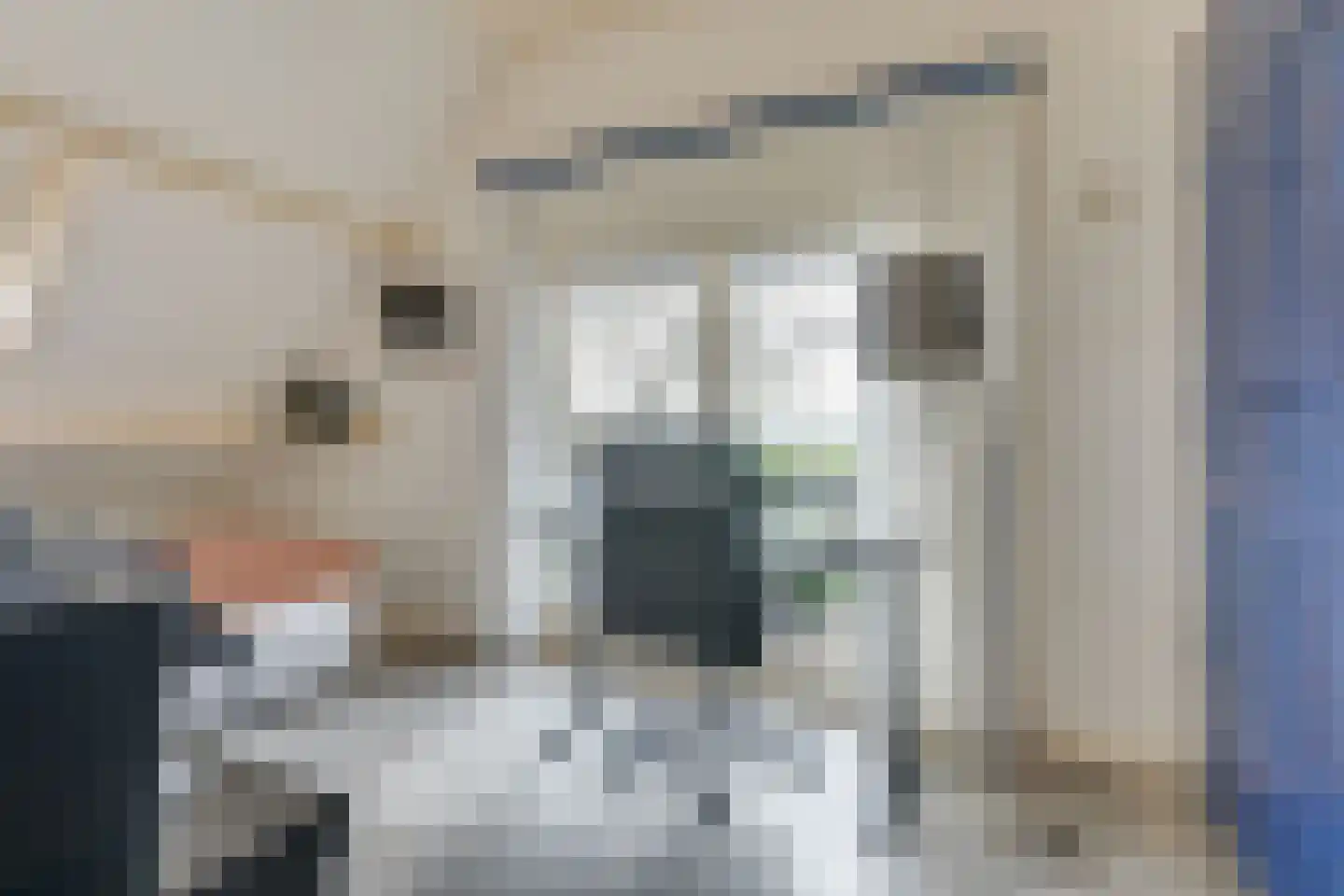Westeinde 245 Berkhout thumbnail 30