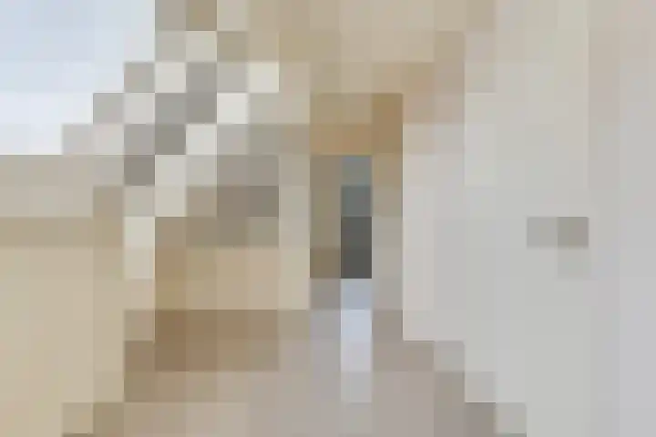 Westeinde 245 Berkhout thumbnail 33