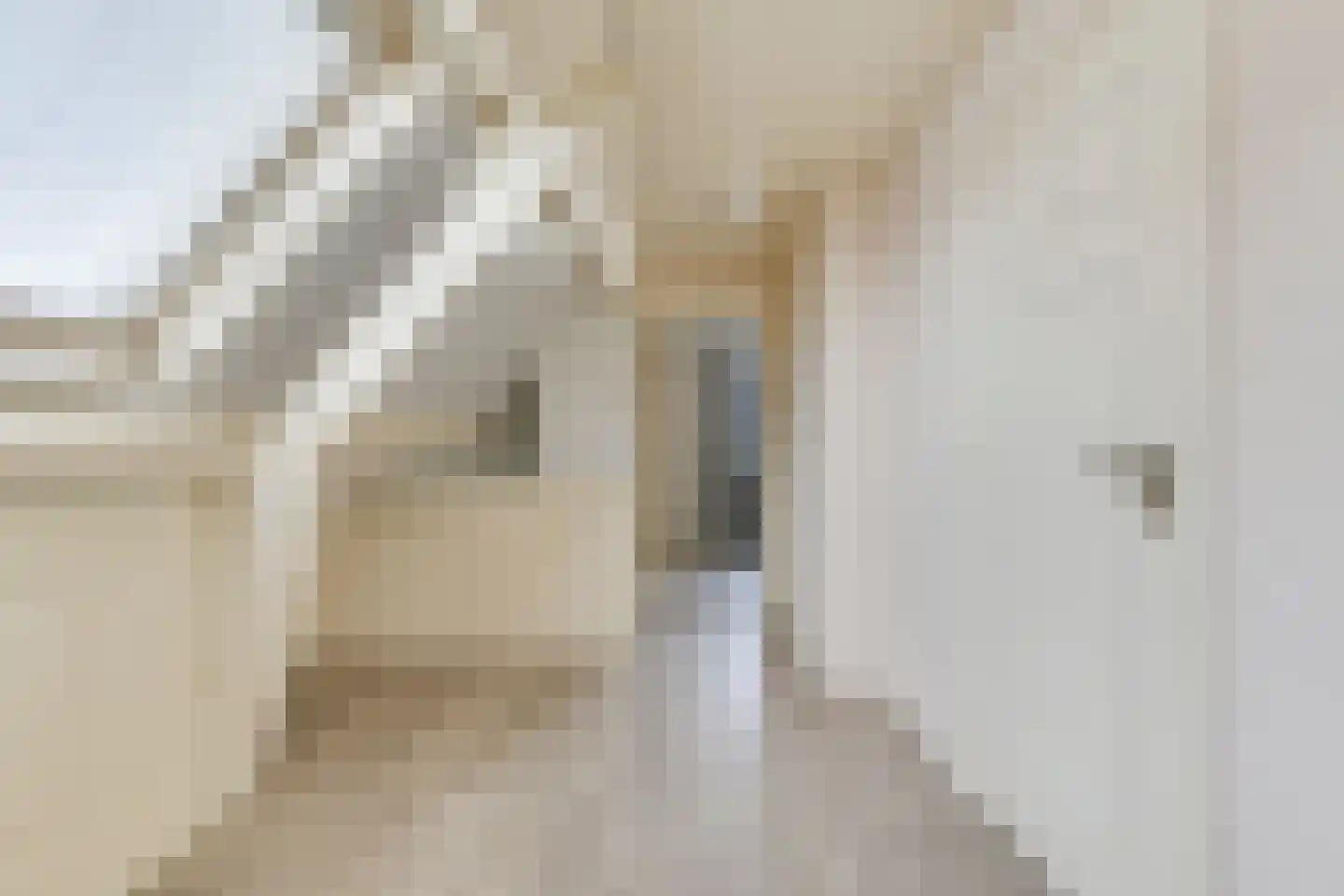 Westeinde 245 Berkhout thumbnail 33